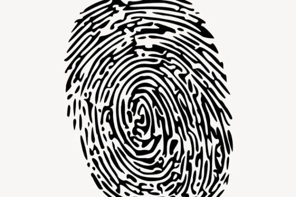 Senate’s Rejection of Mandatory E-Transmission Ignites National Debate